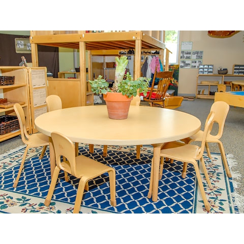 Wood round table with chairs and plant. Patterned area rug under table