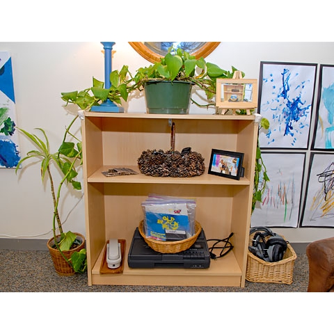 Tape deck, earphones, plant, and framed pictures in floor shelf